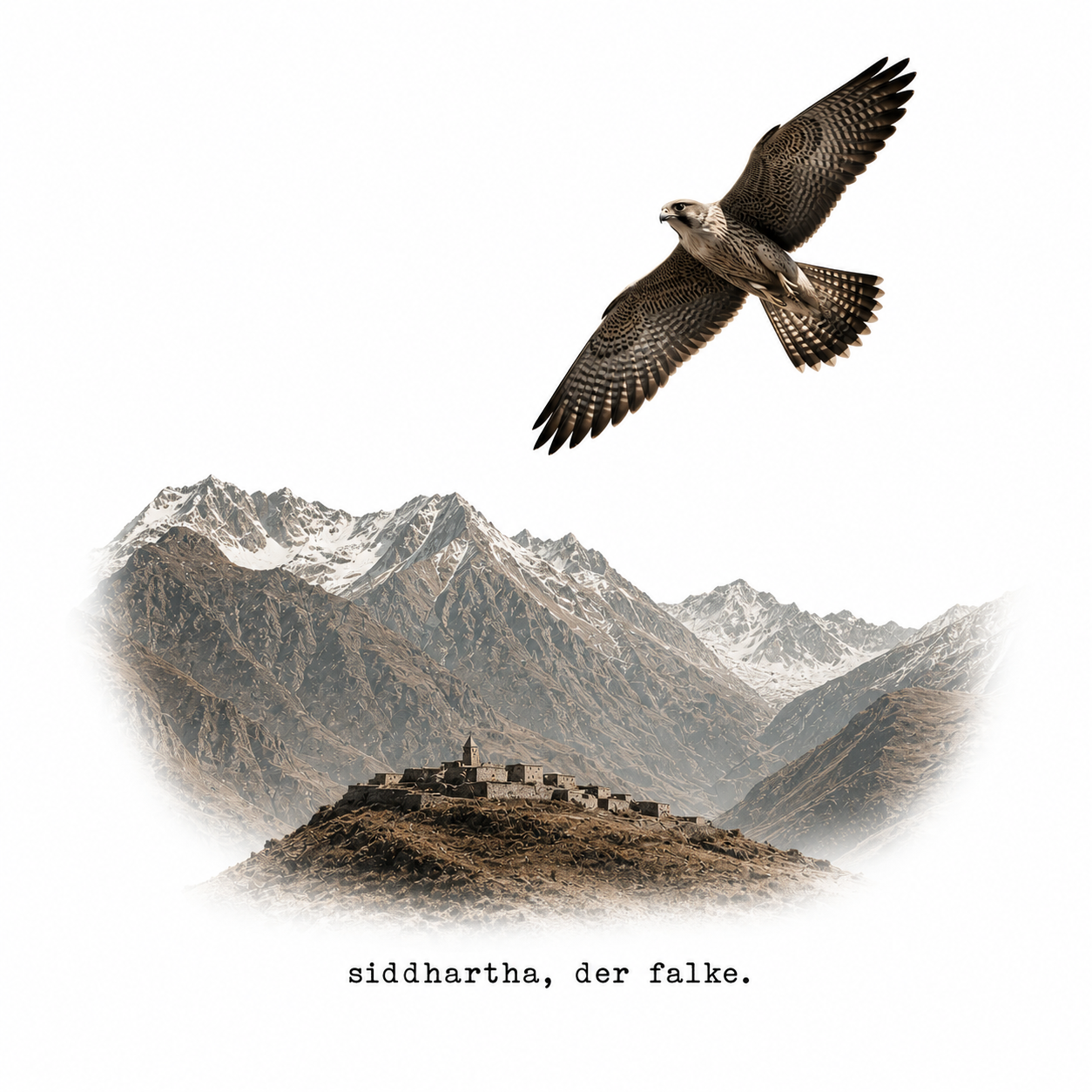 siddhartha, der falke.